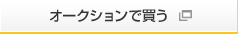 オークションで買う