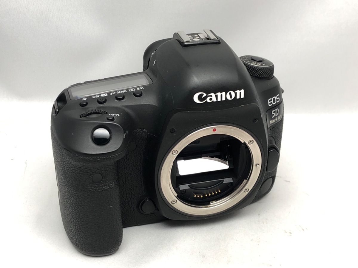 Canon 5d mark Ⅳ ボディCanon