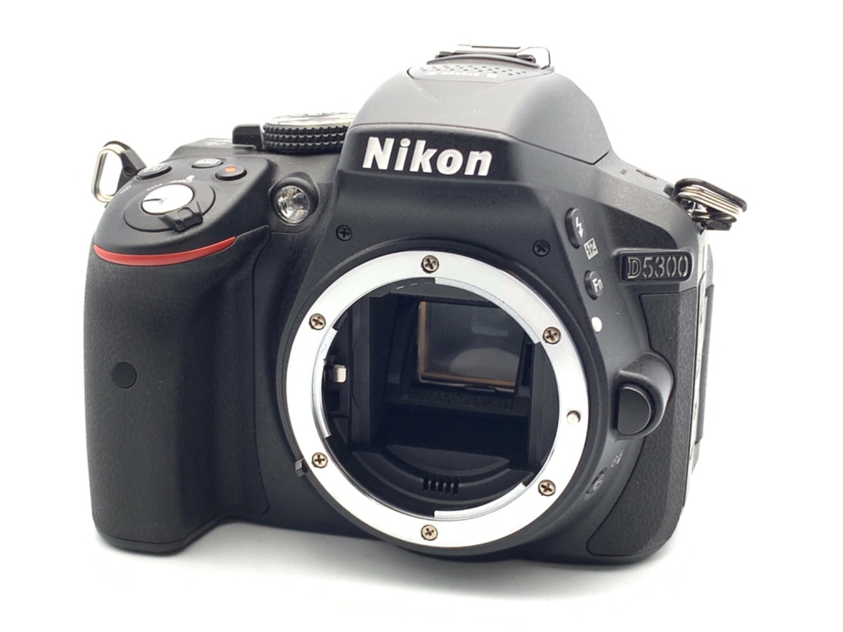 Nikon D5300 ボディ レンズ付き