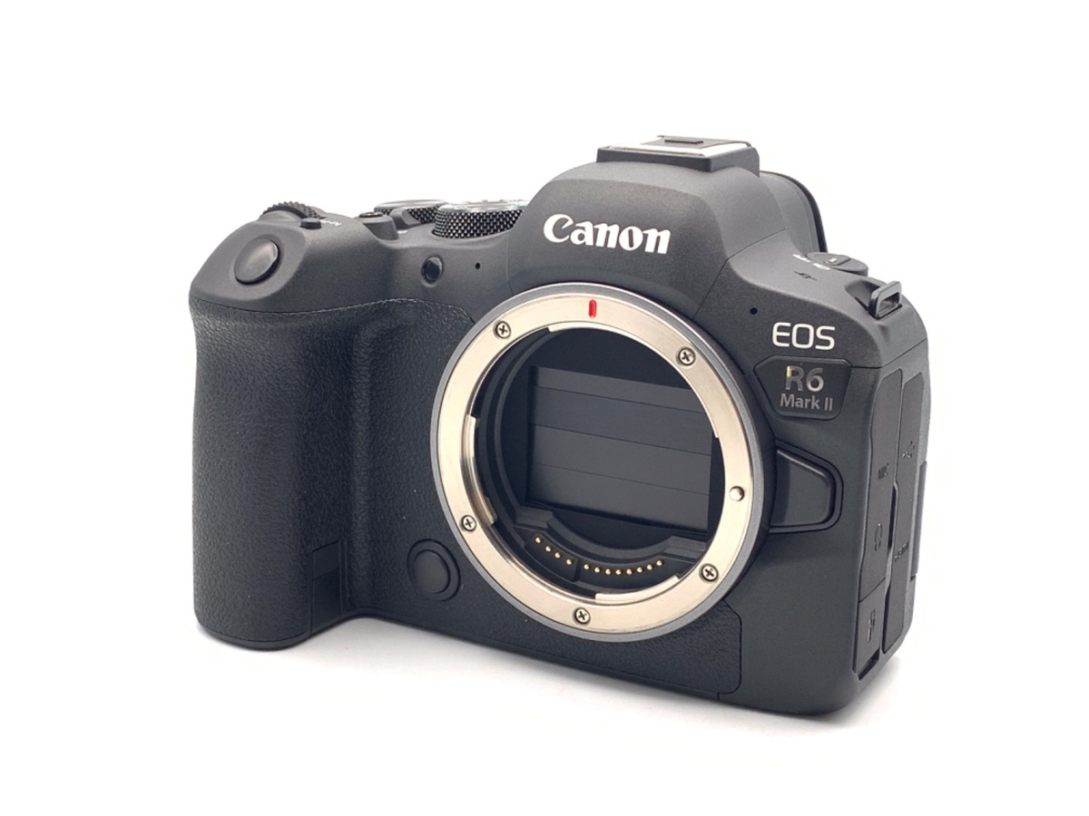 Canon EOS R6 美品 ミラーレス