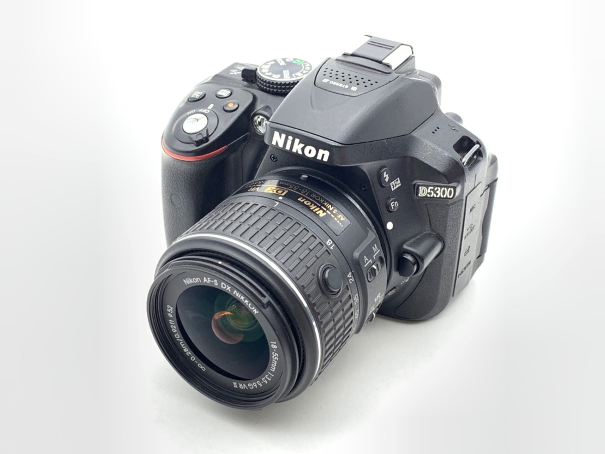 【美品】Nikon D5300 18-55 レンズセット《ショット数2971回》