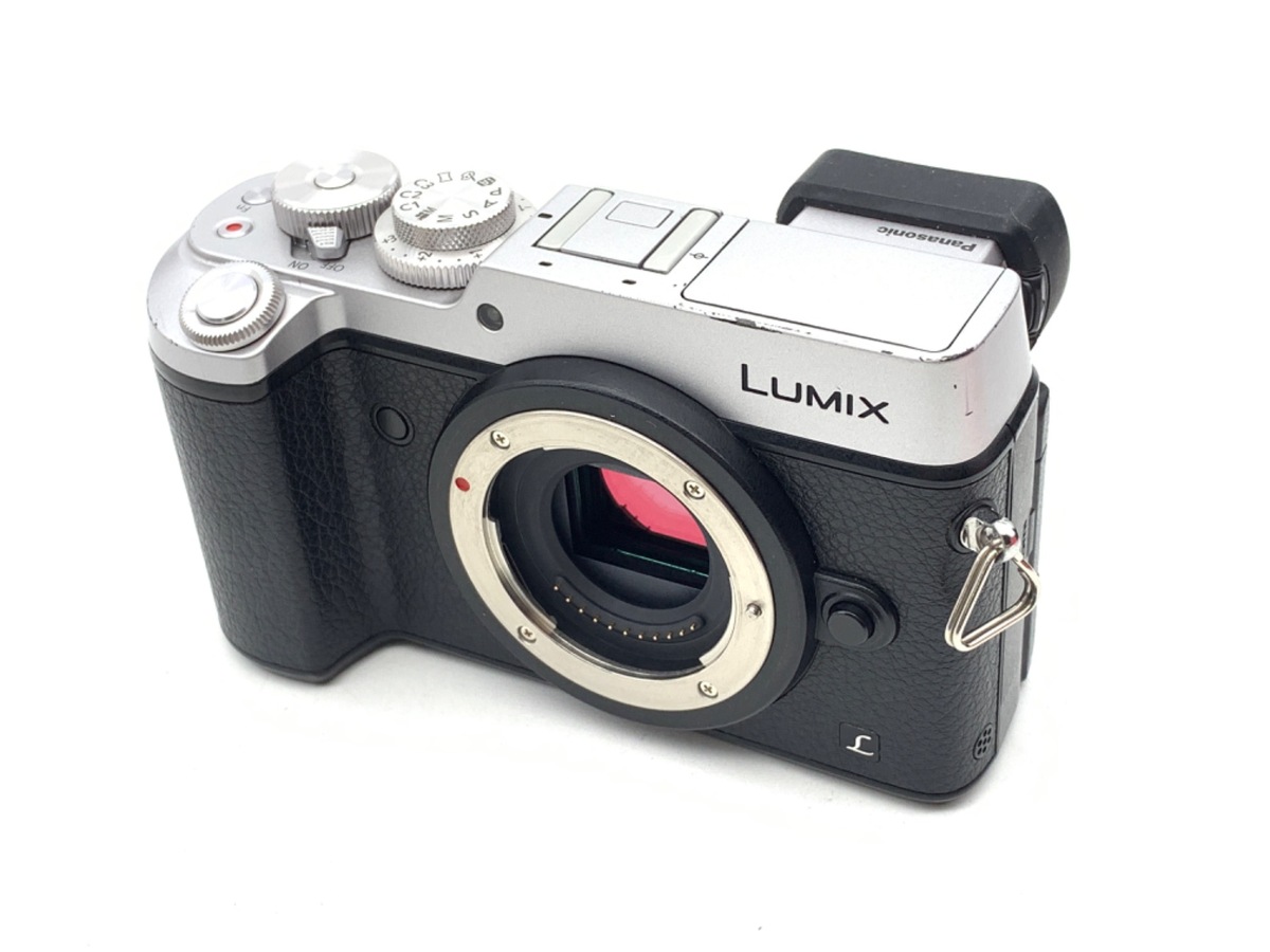 今更ですが、買い増ししました』 パナソニック LUMIX DMC-GX8-S