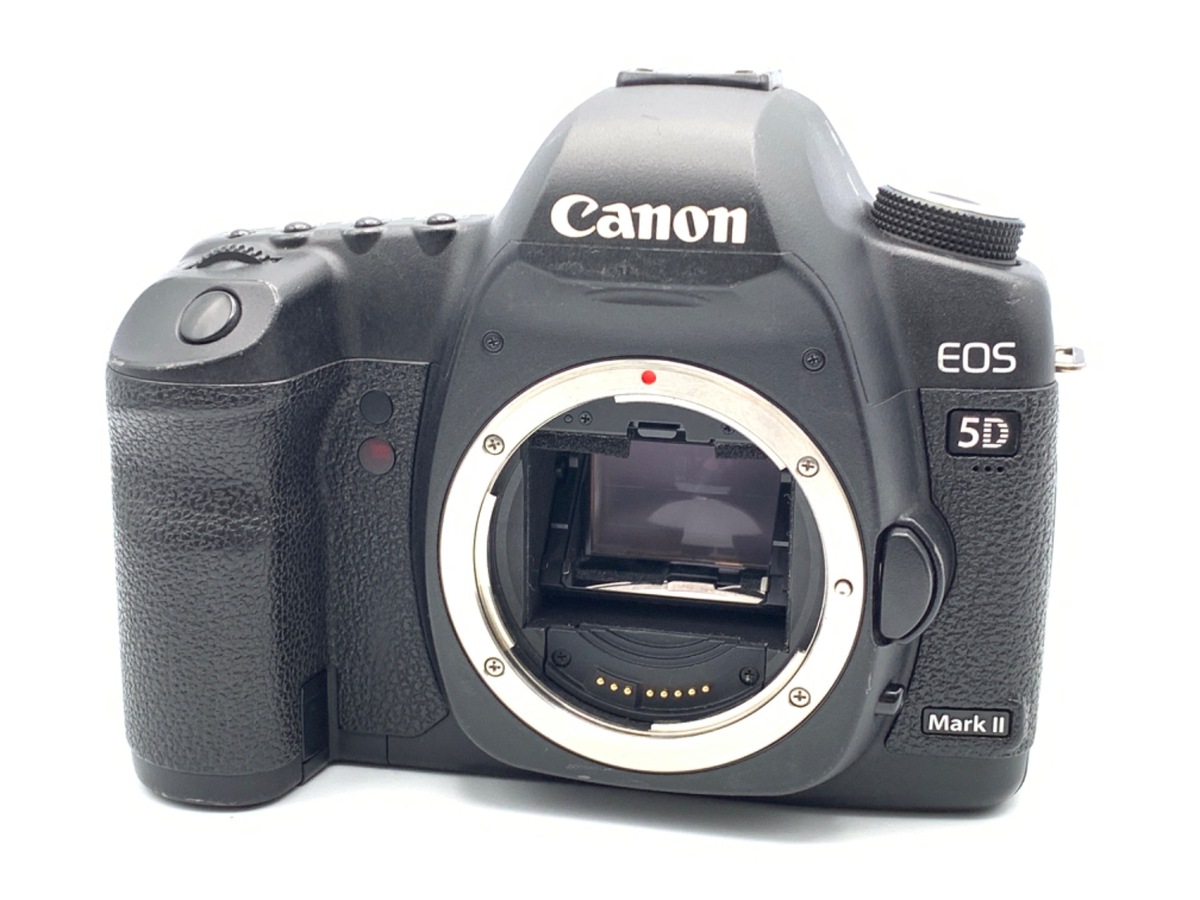 Canon 5D初代　ボディーと充電器、電池動作確認済みです
