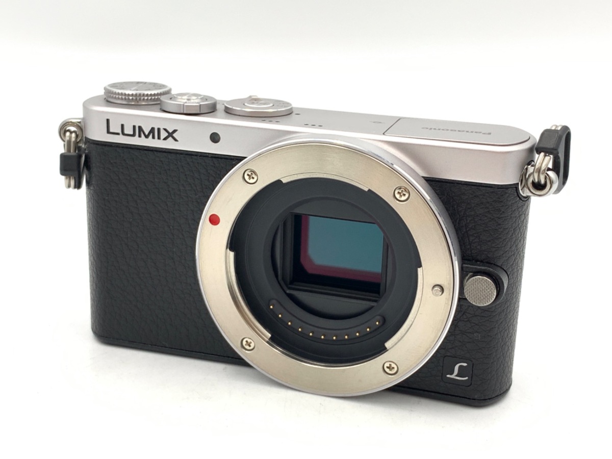Amazon | パナソニック(Panasonic) デジタル一眼カメラ